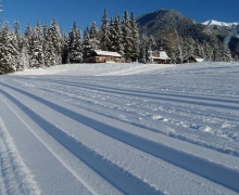 Warming Cabins