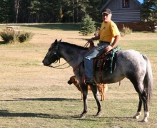 Horse Stables