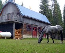Horse Riding
